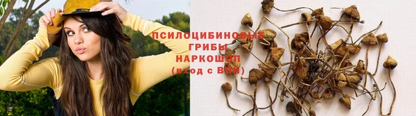 кокаин колумбия Гвардейск