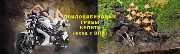 трава Грязовец