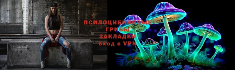 Псилоцибиновые грибы Psilocybine cubensis  Анива 